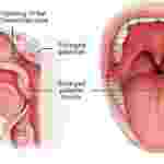 Ayurvedic treatment for tonsils